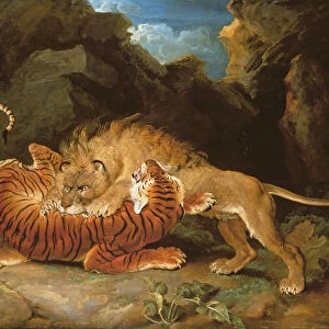 Fight between a Lion and a Tiger, 1797 (oil on canvas)