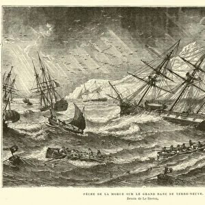 Fishing for cod on the Grand Banks, Newfoundland (engraving)
