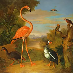 Flamingo and Other Birds in a Landscape