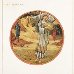 The Flower Book: WW. Star of Bethlehem, 1905 (litho with gouache on paper)