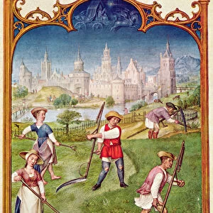 Fol 6v The Month of June: Haymaking, from the Breviarium Grimani, c