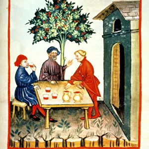 Fol. 99r Drunkenness, illustration from Tacuinum Santiatis Codex Vindobonensis (vellum)