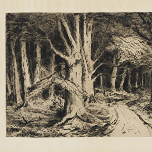 Forest Path, c. 1885 (etching, softground etching & drypoint on Japan paper)