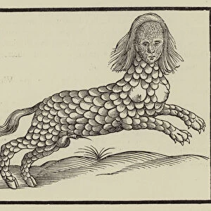 Four-legged creature with a body covered in scales (engraving)