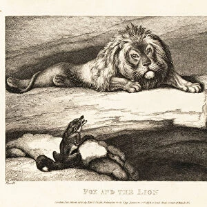 A fox foolishly approaching a male lion in his den. 1811 (etching)