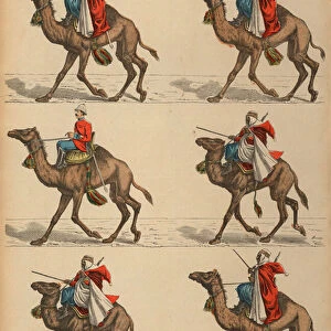 French Army Meharistes (camel cavalry) in Algeria (coloured engraving)