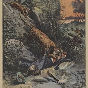 A French infantry officer devoured by tigers (colour litho)