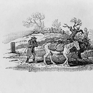 Geese carried to market from History of British Birds and Quadrupeds (engraving)