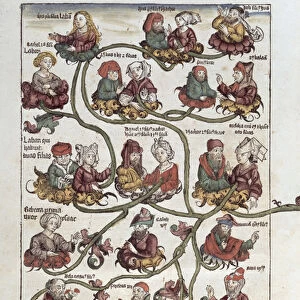 Genealogical tree of Laban, from Liber Chronicarum by Hartmann Schedel