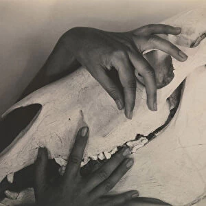 Georgia O Keeffe--Hands and Horse Skull, 1931 (gelatin silver print)