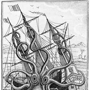 Giant Octopus, illustration from L Histoire Naturelle Generale et Particuliere