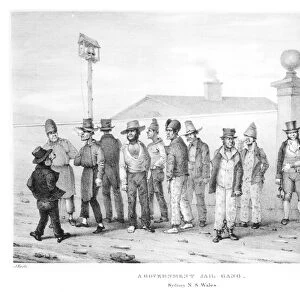 A Government Jail Gang, Sydney, New South Wales, 19th century (engraving) (b / w photo)