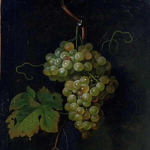 Grapes (oil on canvas)
