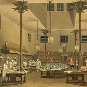 The Great Kitchen, from Views of The Royal Pavilion, Brighton by John Nash