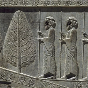 Guards of Susa. Reliefs of the eastern staircase of the Apadana, 6th century BC