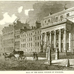Hall of the Royal College of Surgeons (engraving)