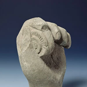 Hand of a statue holding the chakra disc, 800-1431 (stone)
