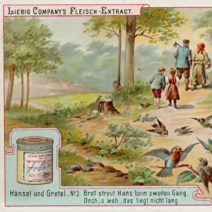 Hansel and Gretel: Birds eating the trail of breadcrumbs left by Hansel to find the way home (chromolitho)