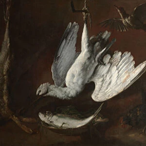 Hare, Spoonbill, and Fish, mid-1600s (oil on canvas)