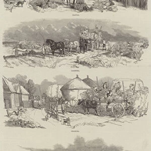 Harvest Operations (engraving)