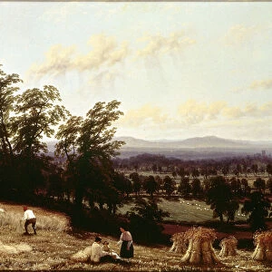 Haystacks near a River, near Harford, Warwickshire, 1872 (oil on canvas)