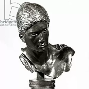 The head of Cassandra, c. 1895 (bronze)