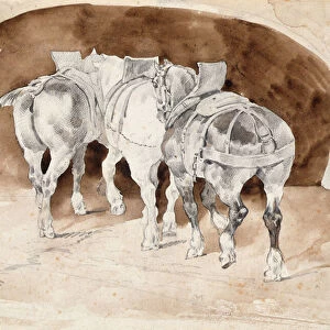Three heavy horses in harness (pencil & sepia wash)