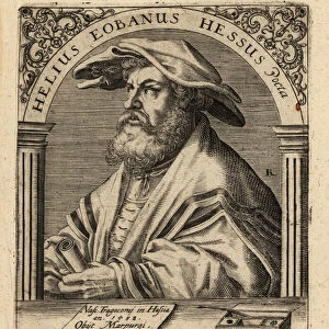 Helius Eobanus Hessus, 1650 (engraving)