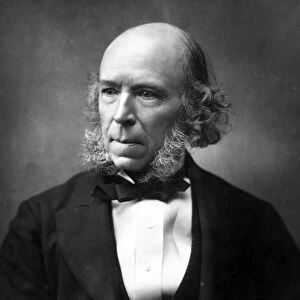 Herbert Spencer, 1888 (b / w photo)