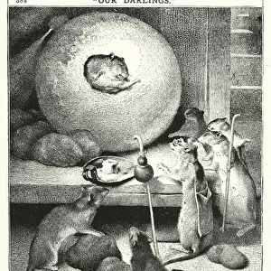 The Hermit Rat (engraving)