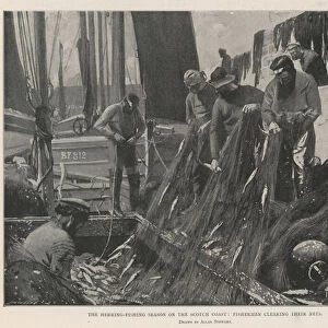 The Herring-Fishing Season on the Scotch Coast, Fishermen clearing their Nets (litho)