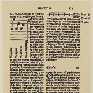 From Higdens Polychronicon, printed by Wynkyn de Worde, 1495 (litho)