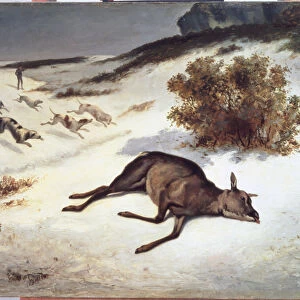 Hind Forced Down in the Snow, 1866 (oil on canvas)