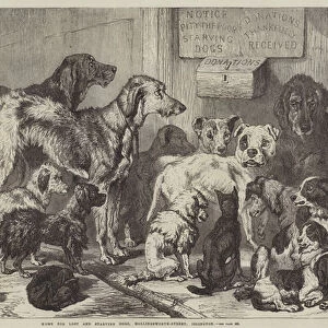 Home for Lost and Starving Dogs, Hollingsworth-Street, Islington (engraving)