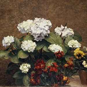 Hortensias and Stocks with Two Pots of Pansies, 1879 (oil on canvas)