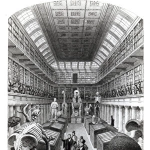 The Hunterian Museum, illustration to London Interiors, engraved by Edward Radclyffe, c