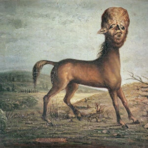 Hydrocephalic mare, born 21st January 1821, 1835 (oil on canvas)
