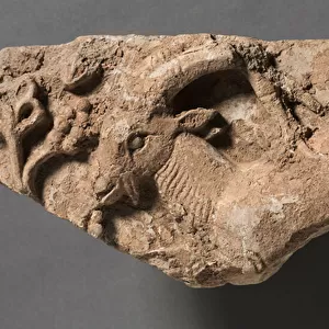Ibex Eating, c. 400-600 (stucco (gypsum plaster) with traces of paint)