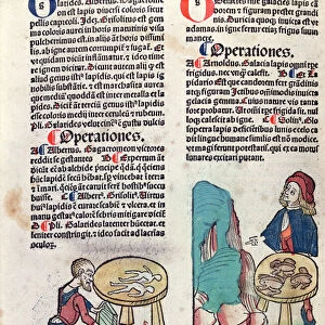 Illustrated page from Hortus Sanitatis, 1491 (coloured woodcut)