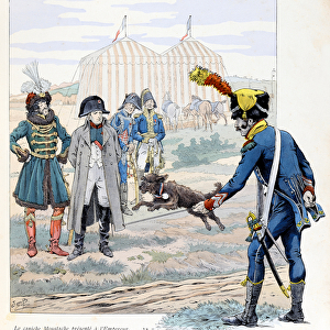 Illustration from the book "A la gloire des betes"text by A Fabre