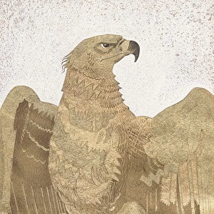 An imperial eagle, 1928 (coloured wood engraving)