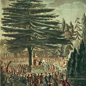 Inauguration of the bust of Carl Linnaeus (1707-78) in the Jardin des Plantes, underneath
