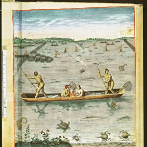 How the Indians Catch their Fish, from Admiranda Narratio