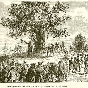 Indignation Meeting under Liberty Tree, Boston (engraving)