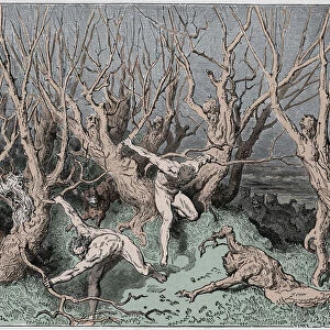 Inferno, Canto 13 : The suicides flee the forest, illustration from