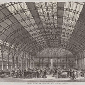 Interior of the New Agricultural Hall, Islington (engraving)