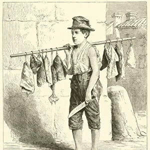 Italian Cats -meat Boy (engraving)