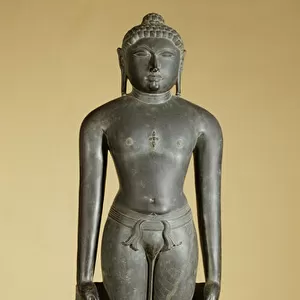 The Jain Tirthankara, Parsvanatha, Rajasthan, Pratihara dynasty (stone)
