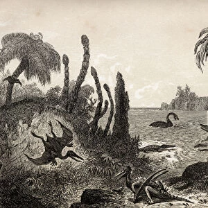 Jurassic Landscape (engraving)