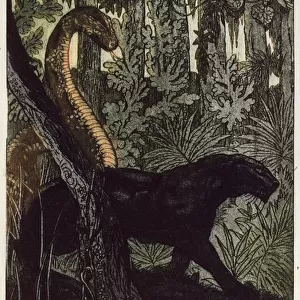 Ks Hunt, illustration from The Jungle Book